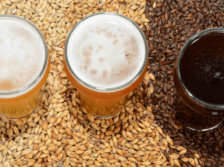 All Grain Kits