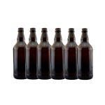 Beer Bottles 500ml (15)