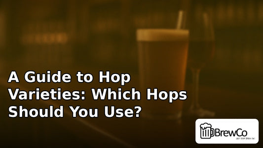 A Guide to Hop Varieties: Which Hops Should You Use?