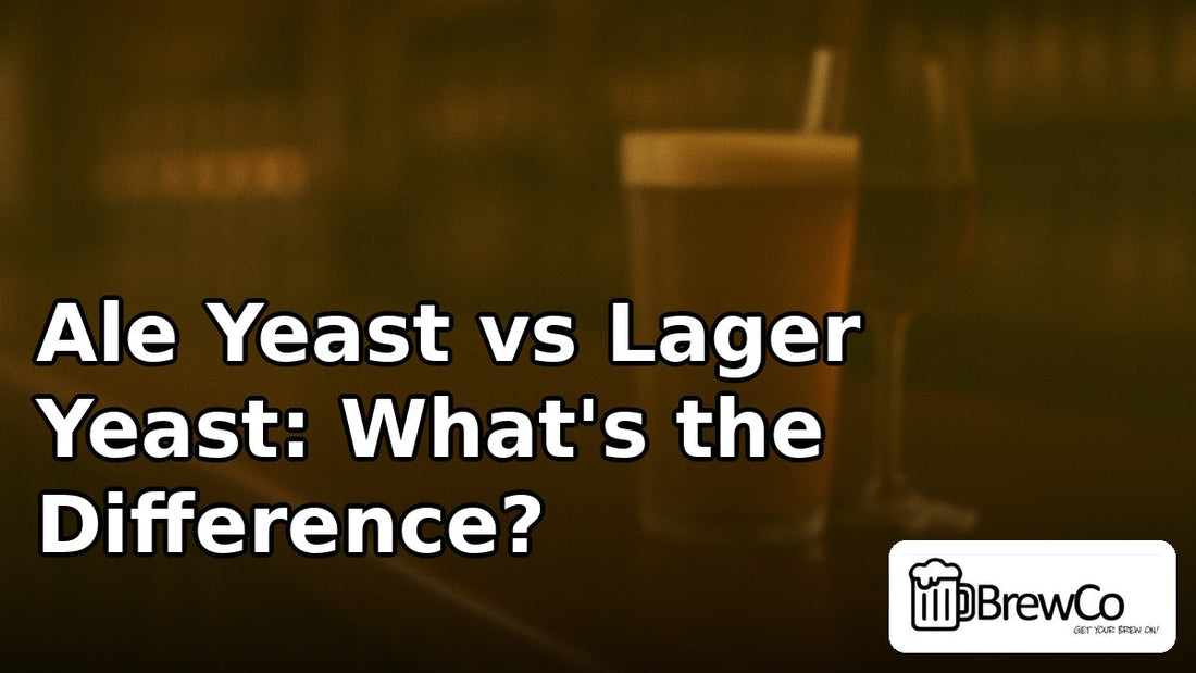 Ale Yeast vs Lager Yeast: What's the Difference?
