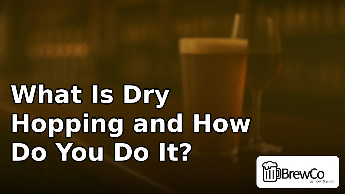 What Is Dry Hopping and How Do You Do It?