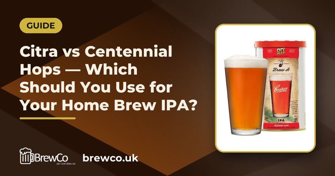 Citra vs Centennial Hops — Which Should You Use for Your Home Brew IPA?
