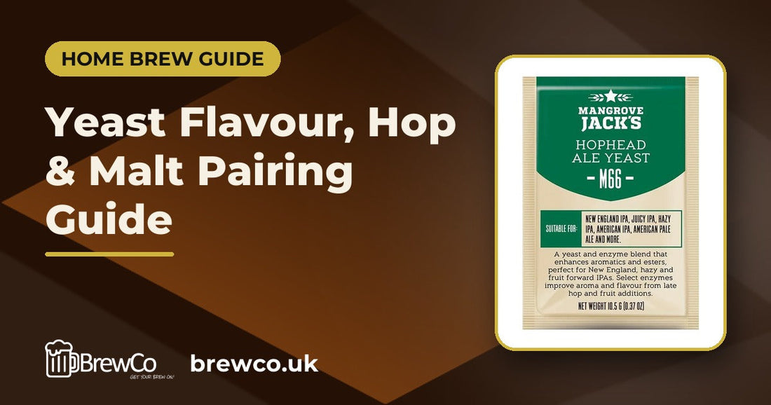 Yeast Flavour, Hop & Malt Pairing Guide