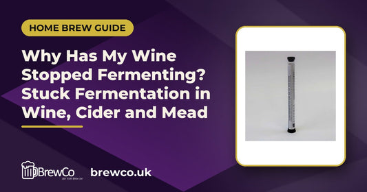 Why Has My Wine Stopped Fermenting? Stuck Fermentation in Wine, Cider and Mead