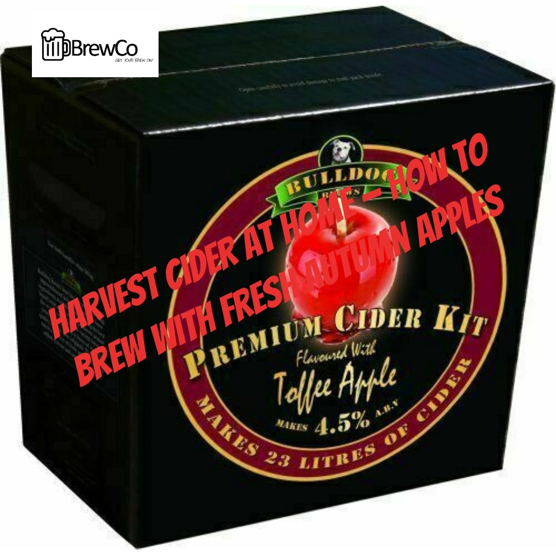 Harvest Cider at Home — How to Brew with Fresh Autumn Apples