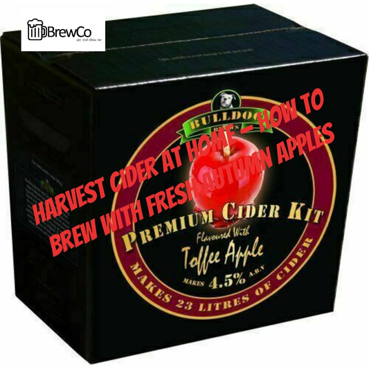 Harvest Cider at Home — How to Brew with Fresh Autumn Apples
