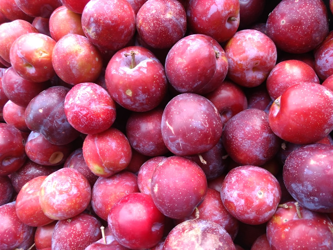 Damson Wine — Home Brew Recipe