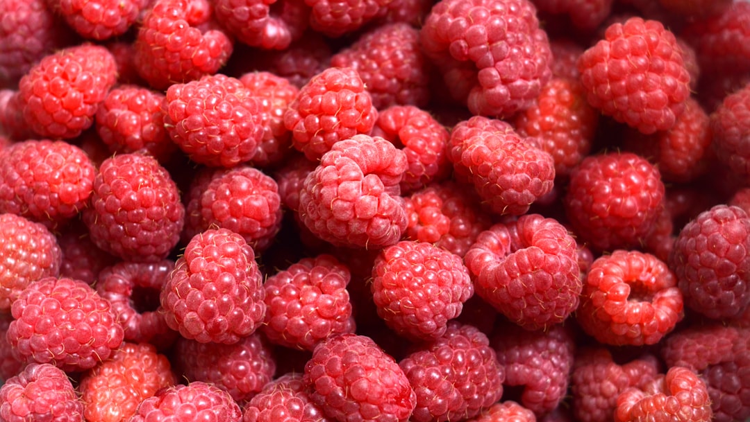 Raspberry Wine — Home Brew Recipe
