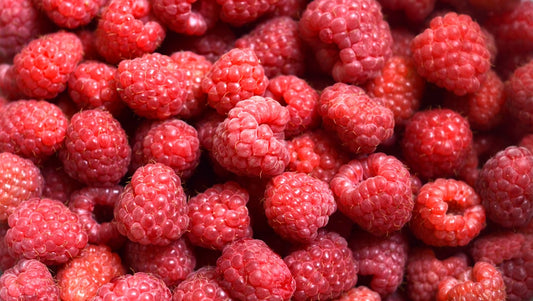 Raspberry Wine — Home Brew Recipe