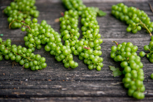 Gooseberry Wine — Home Brew Recipe