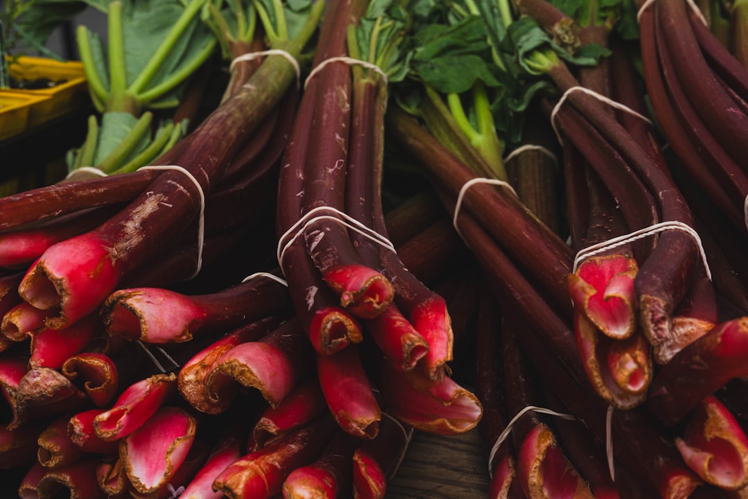Rhubarb Wine — Home Brew Recipe