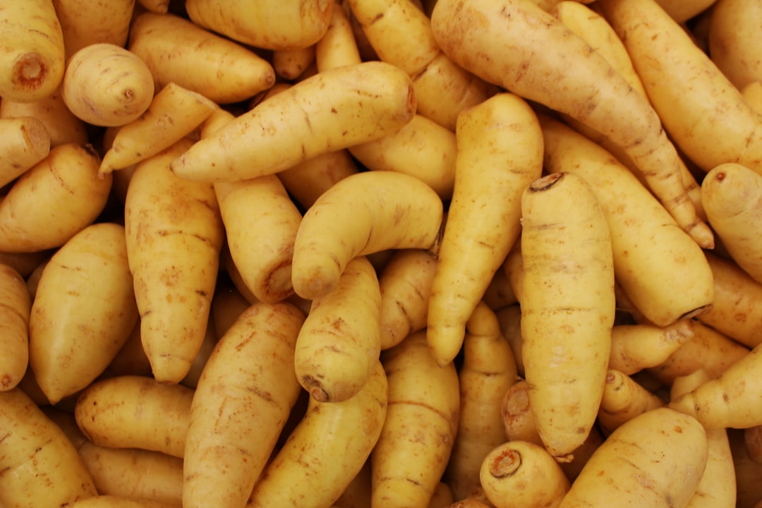 Parsnip Wine — Home Brew Recipe