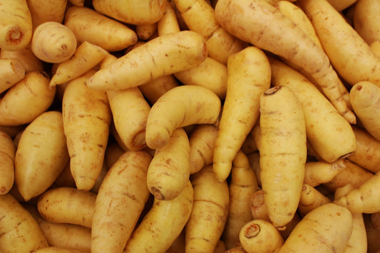 Parsnip Wine — Home Brew Recipe