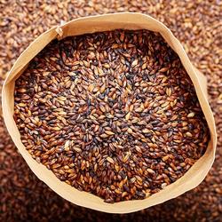 Crushed Malt