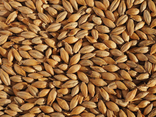 Distilling Malts