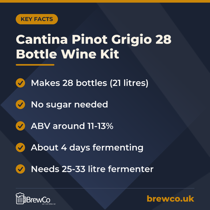 Cantina Pinot Grigio 28 Bottle Wine Kit – key facts