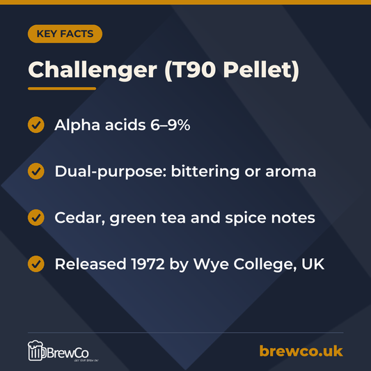 Challenger (T90 Pellet) – key facts