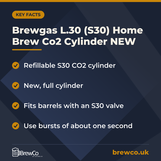 Brewgas L.30 (S30) Home Brew Co2 Cylinder NEW – key facts