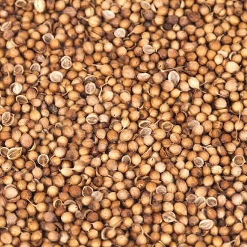 Harris Coriander Seeds - 100g
