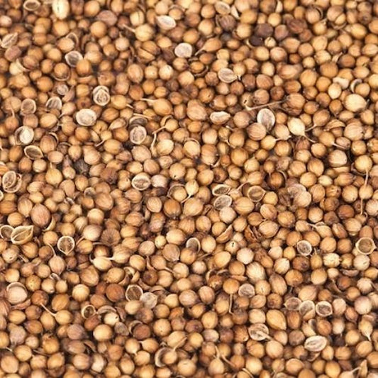 Harris Coriander Seeds - 100g – main product photo