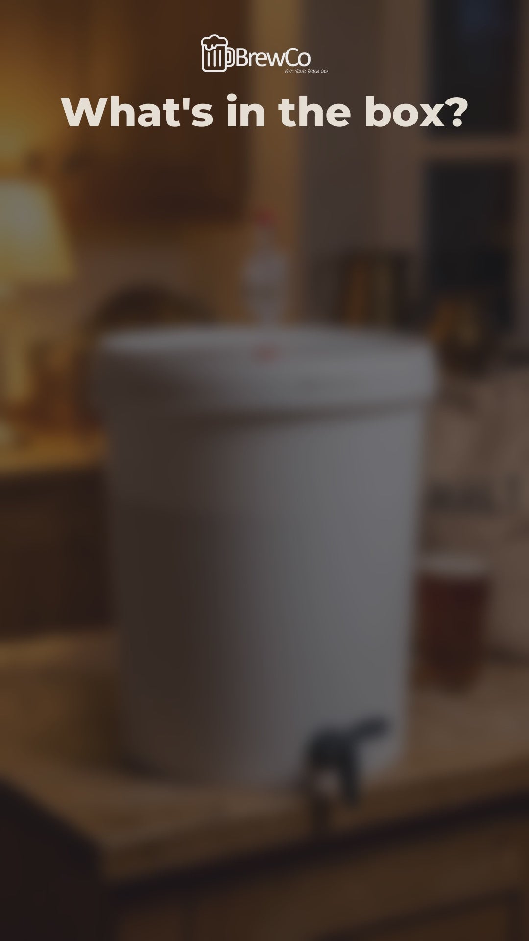 What's in the box: Festival Beer Making Starter Kit