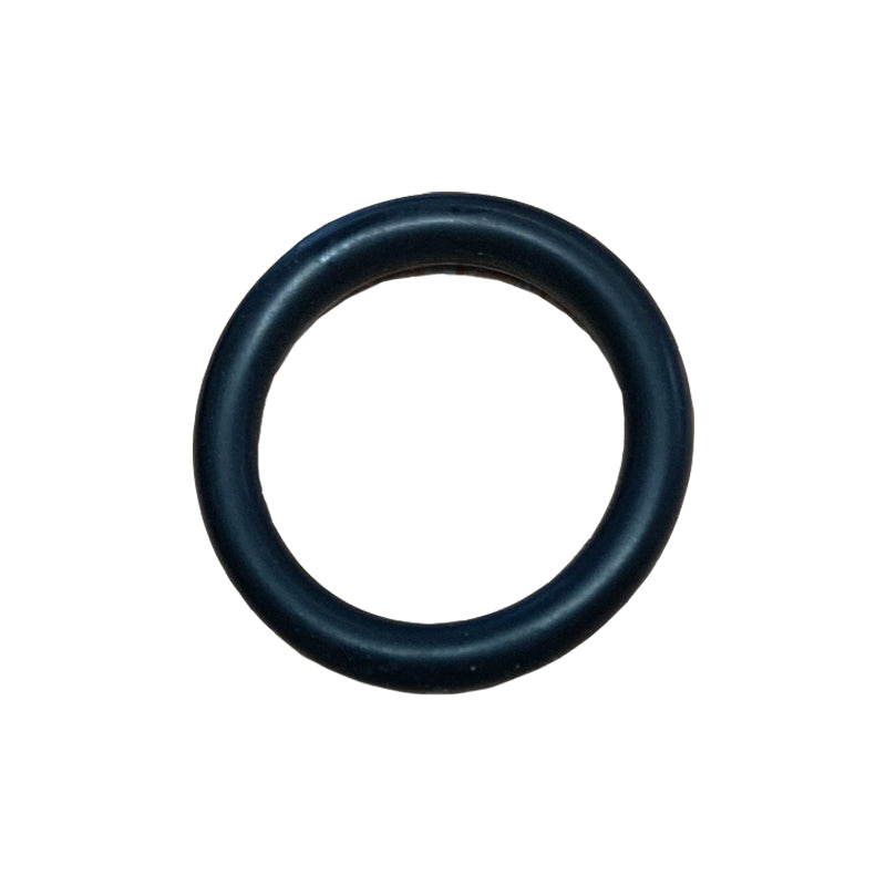 Valve O Ring